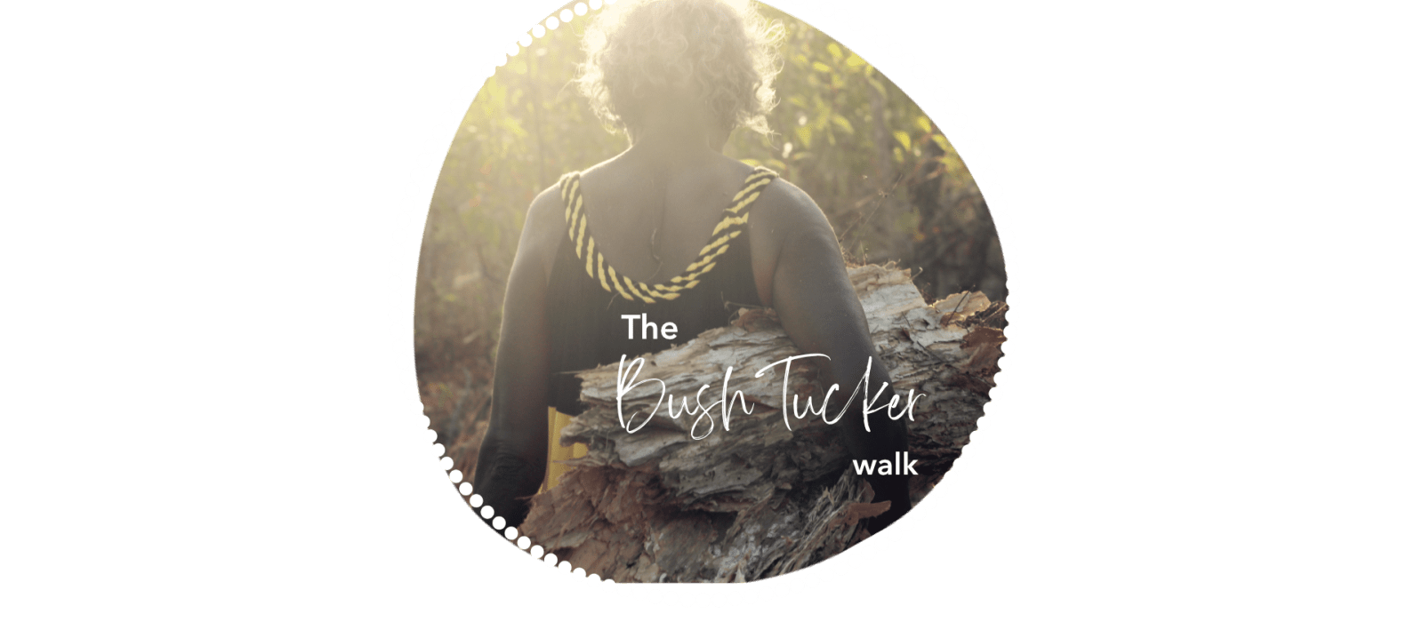 Bush Tucker Walk